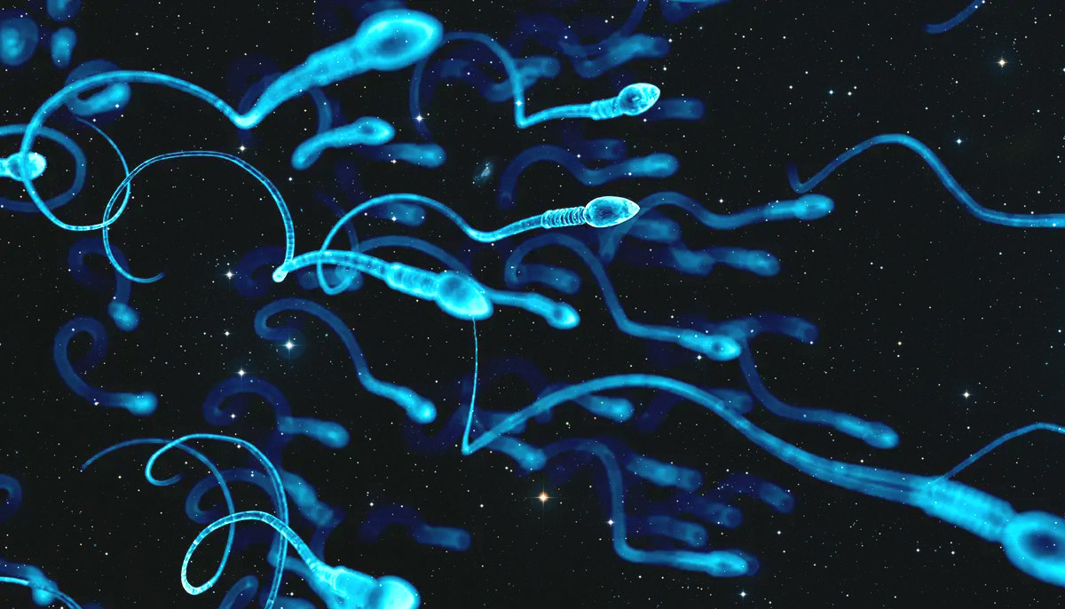 To Fertility and Beyond: Storing Sperm in Space May Be Possible.